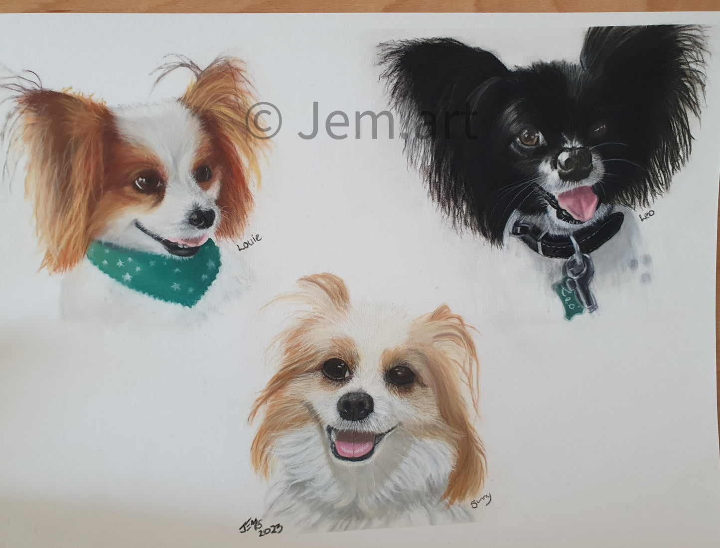 Pet Portraits