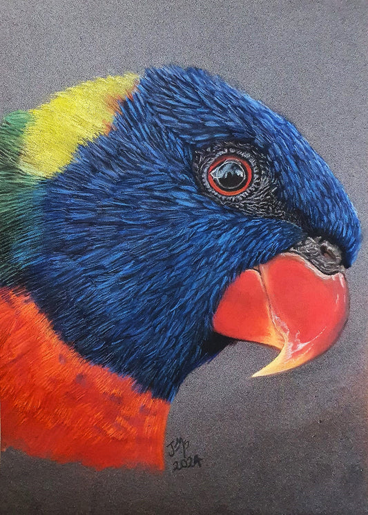 Animal Greeting Card - The Rainbow Lorikeet - Printed Australian Animals