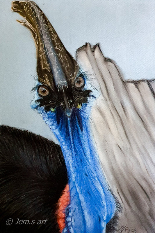 Animal Bookmarks - The Cassowary - Printed Australian Animals