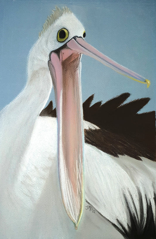 Animal Bookmarks - The Pelican - Printed Australian Animals