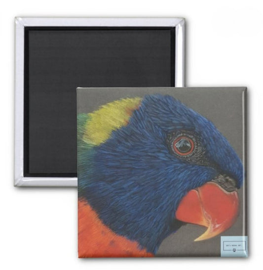 Animal Magnets- The Rainbow Lorikeet - Printed Australian Animals